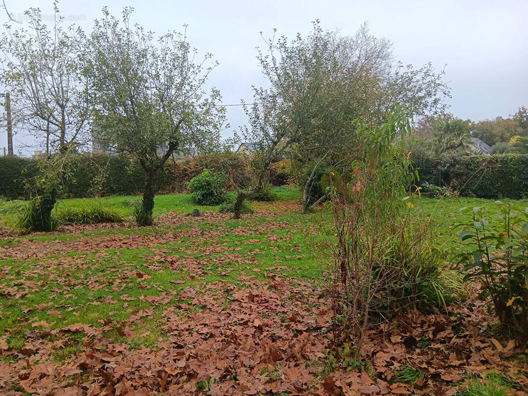 Terrain à LANGUIDIC