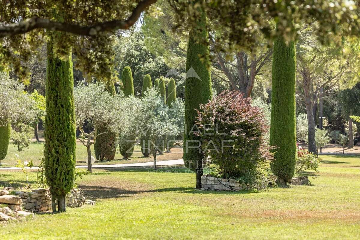 Proche de l'Isle-sur-la-Sorgue - Domaine d'exception entre Luberon et Mont Ventoux sur un parc de 15 hectares - photo 17