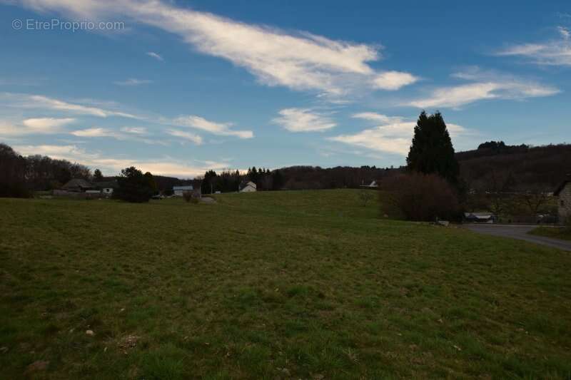 Terrain à LE CHASTANG