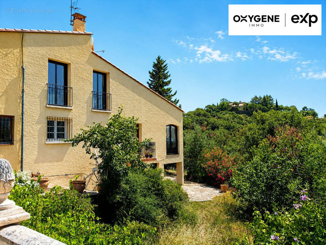 Maison 250 m² à Ceret  - photo 3