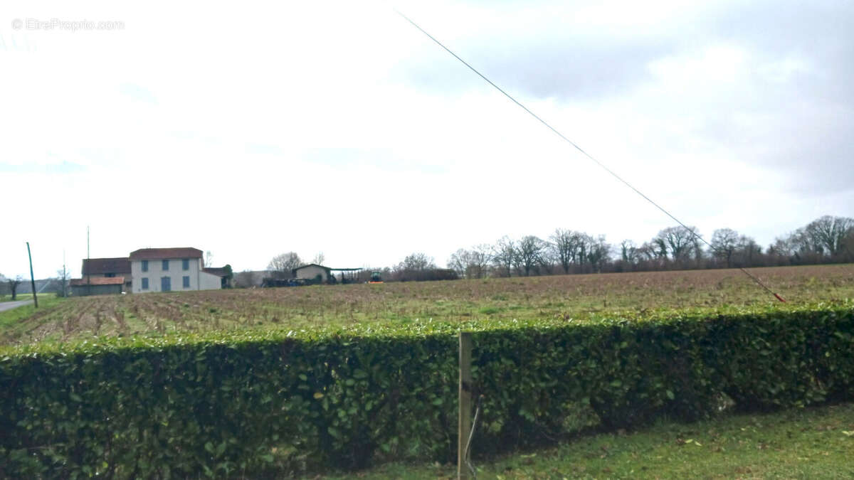 Terrain à MONTARDON