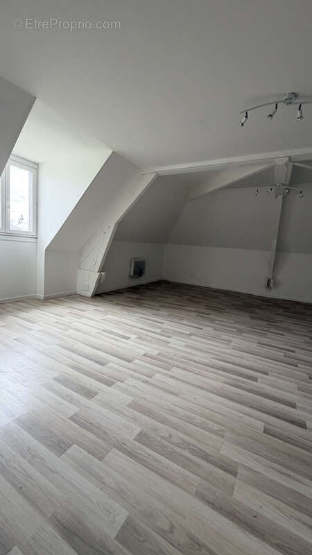 Achat St Lye proche Troyes maison 307m2  une dépendance 100 m2 jardin arboré 4135 m2 - photo 7