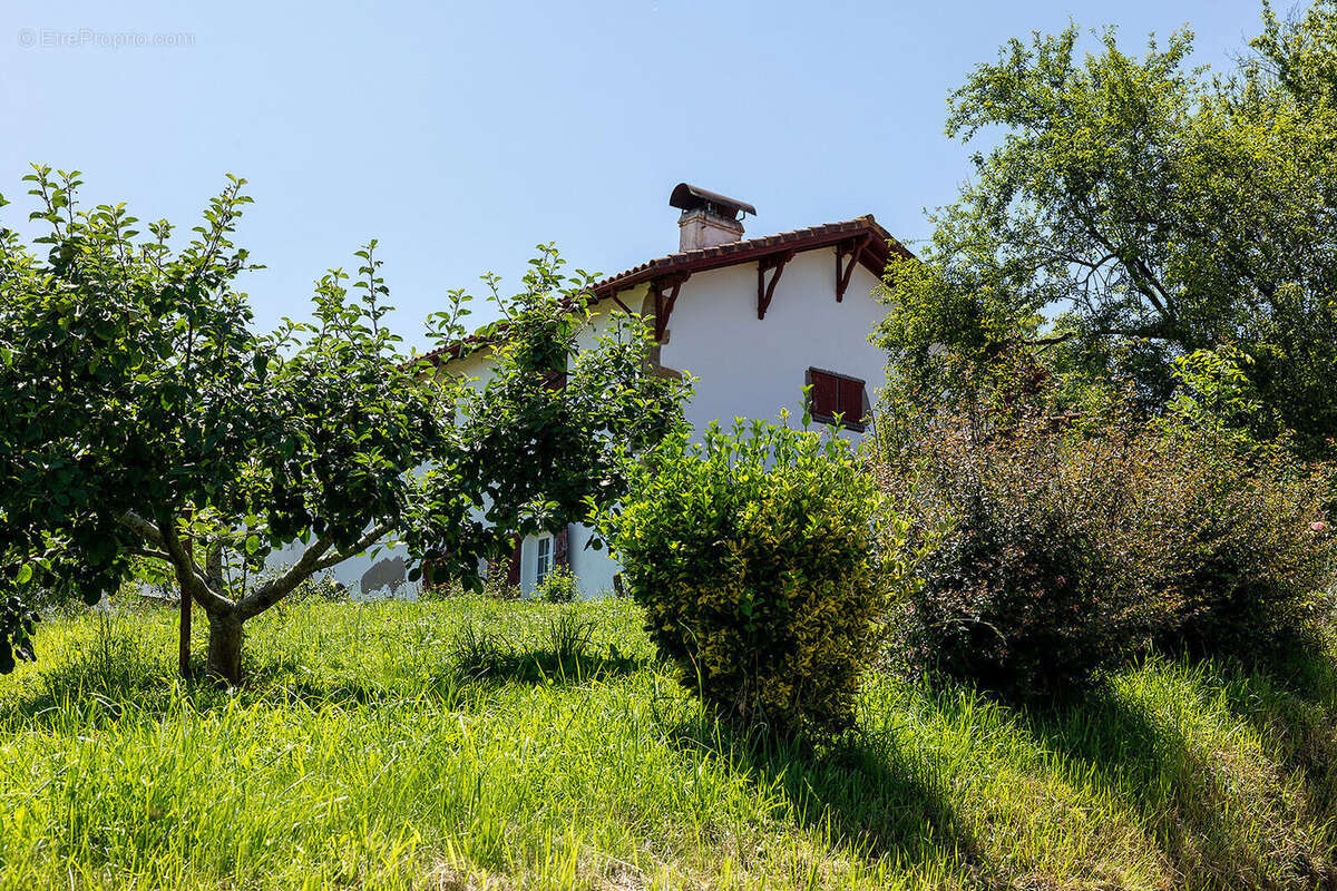 Photo 3 - Maison à SAINT-PALAIS