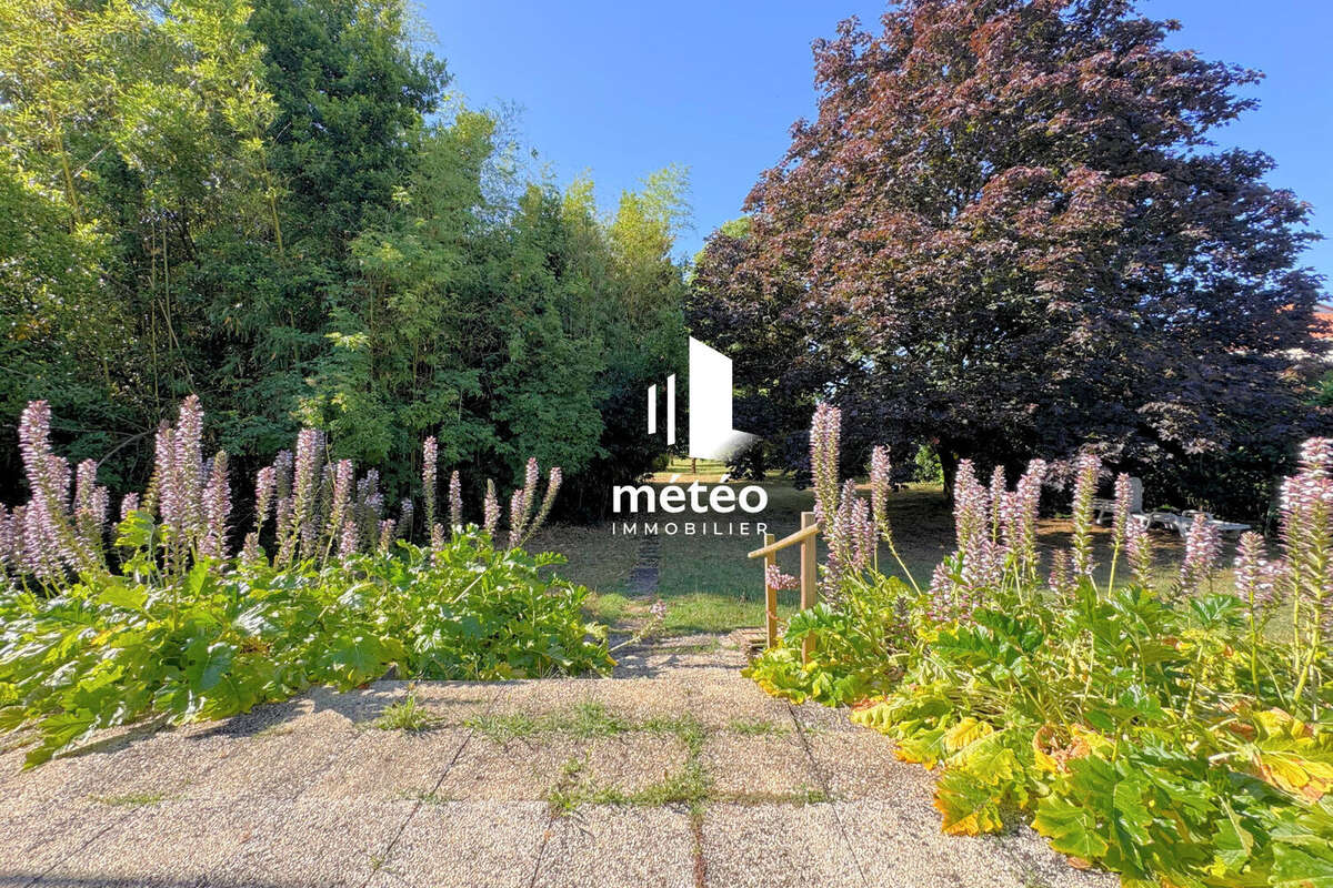 Maison à LUCON