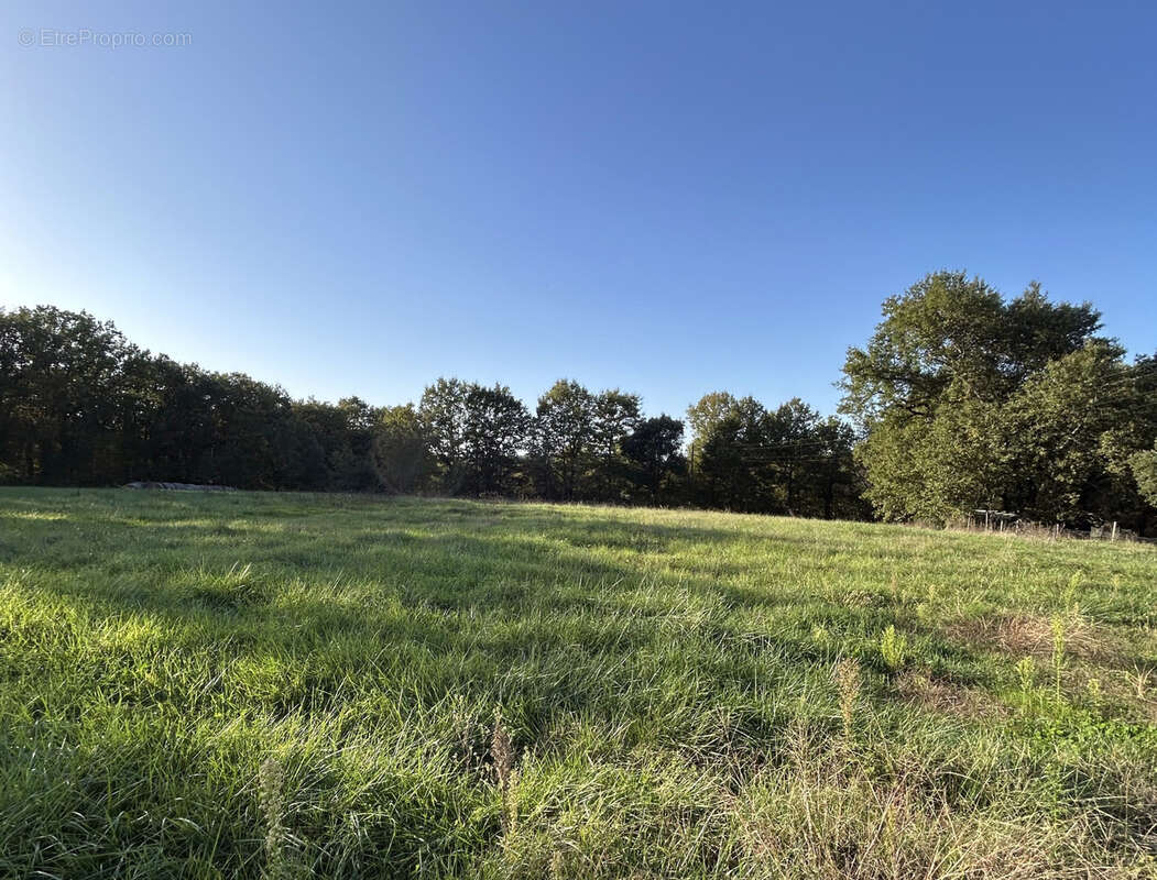 Terrain a batir genebrieres 1100 m2 environ - photo 2