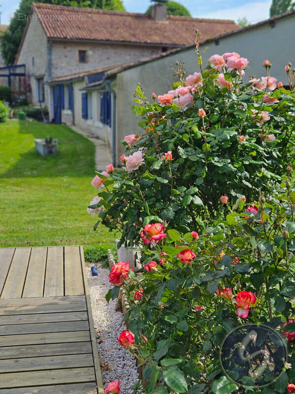 Maison à SAINT-GEORGES-DE-NOISNE