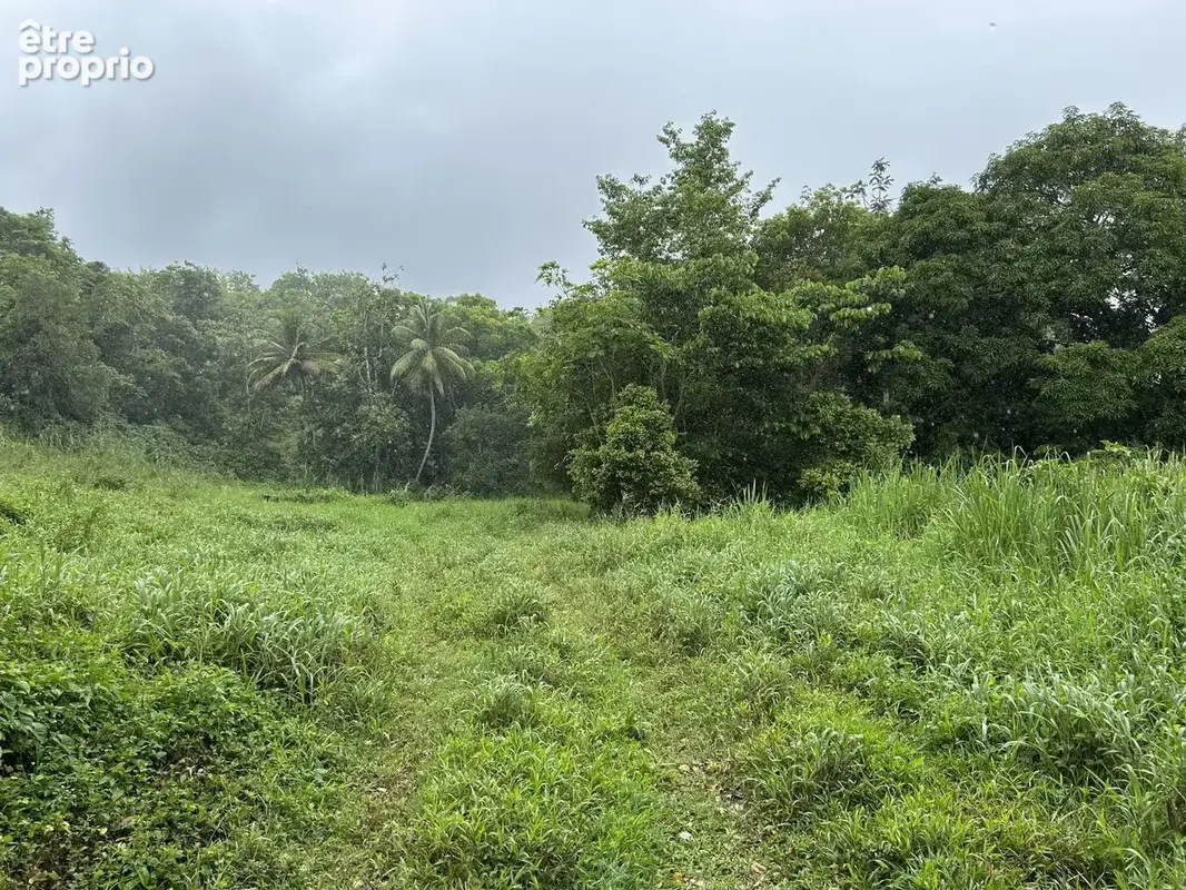 Terrain constructible 650 m² — Beau Soleil, Les Abymes — Grands Fonds, secteur calme - photo 8