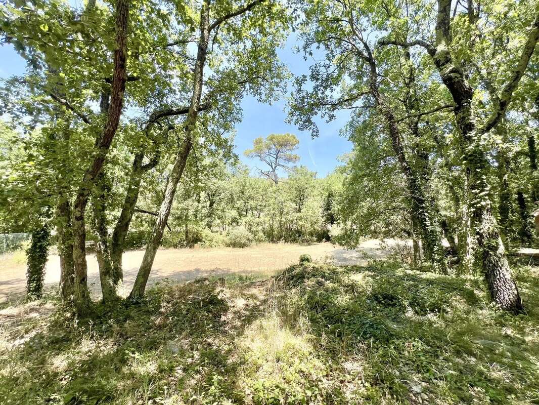Villa champêtre T4 sur 4 110 m² de terrain - photo 6