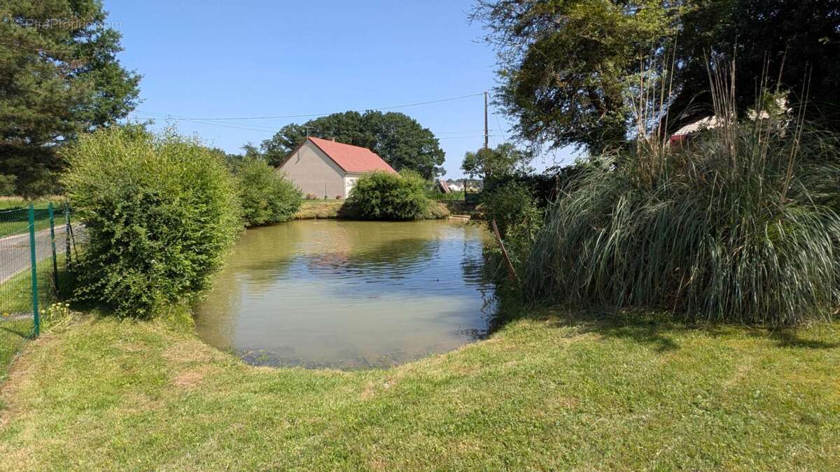 Maison 3 pièces 50m² - photo 4