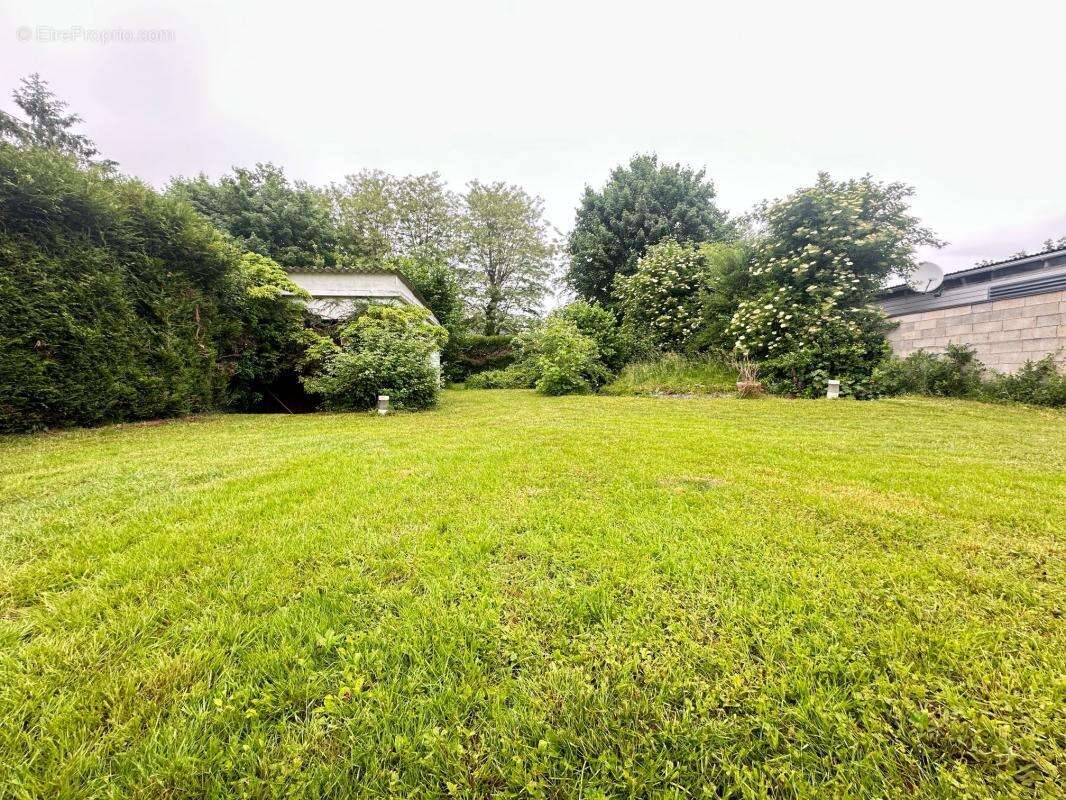 Terrain à LE PLESSIS-TREVISE