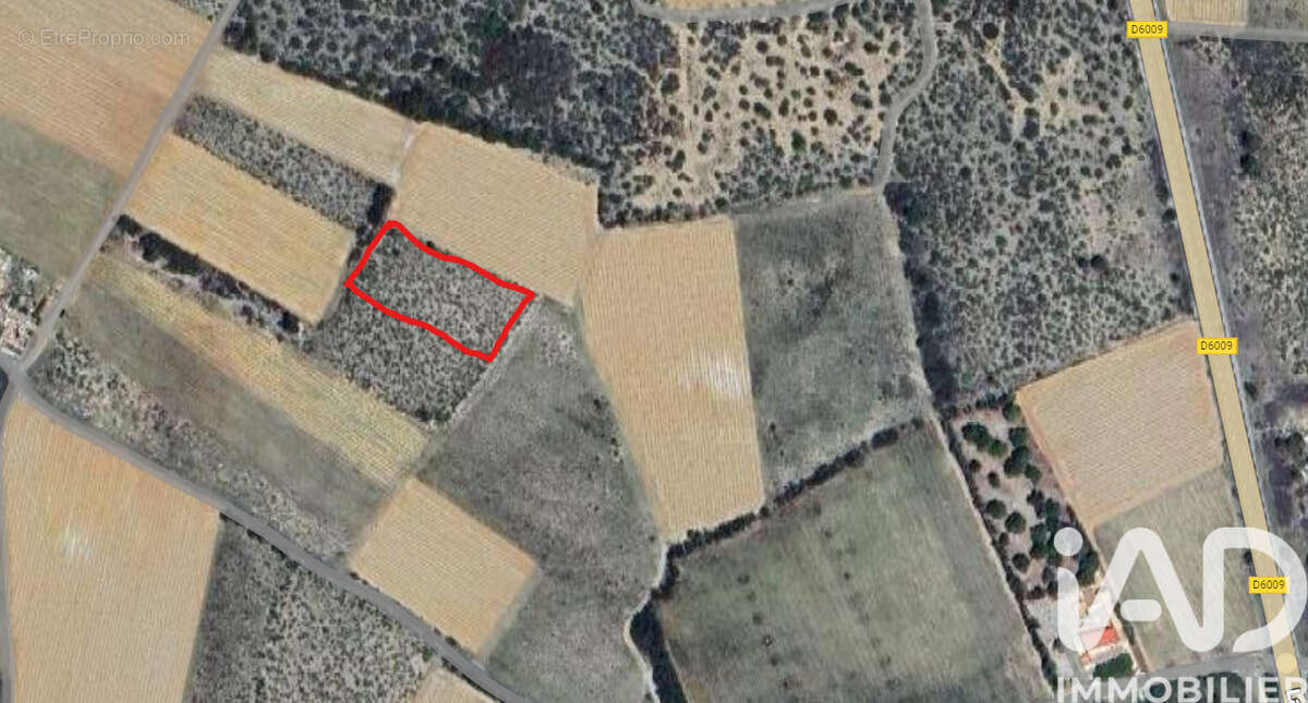 Photo 2 - Terrain à LA PALME