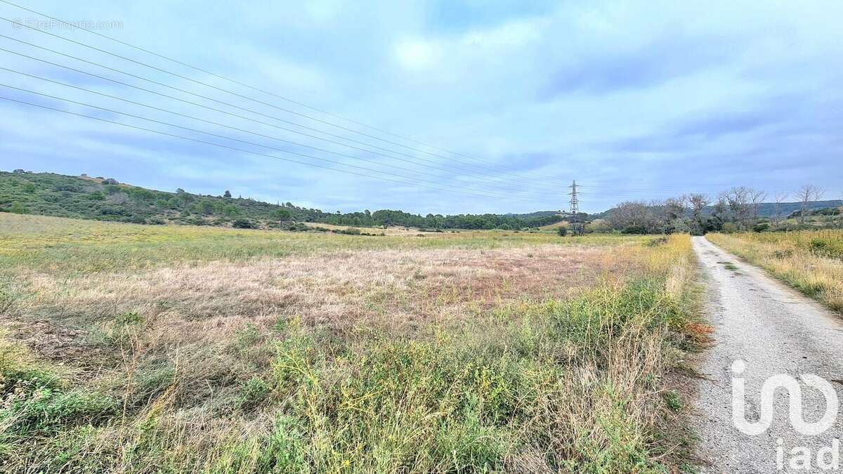 Photo 2 - Terrain à TAUTAVEL