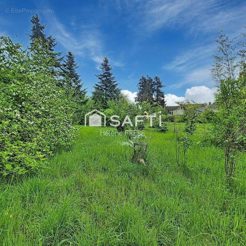 Photo 9 - Maison à LES MONTILS