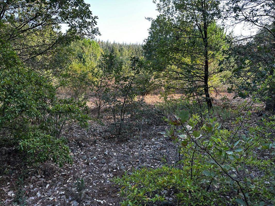 Terrain à LAURAGUEL