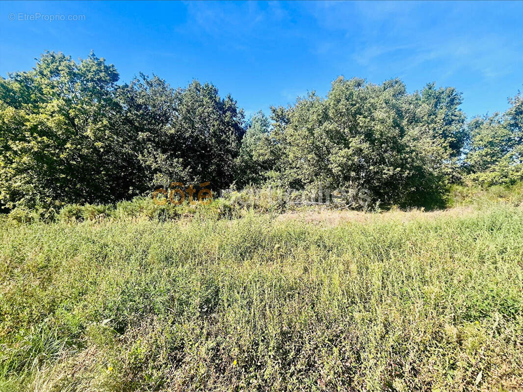 Maison à MONTBARTIER