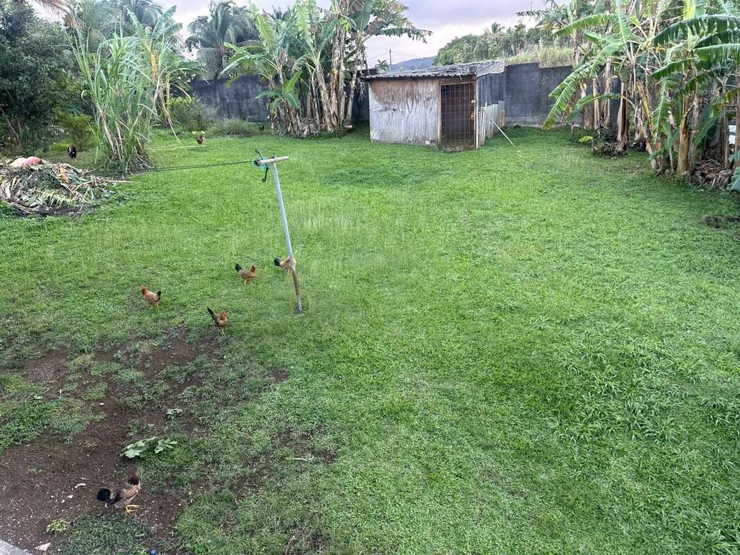 Maison à SAINTE-ROSE