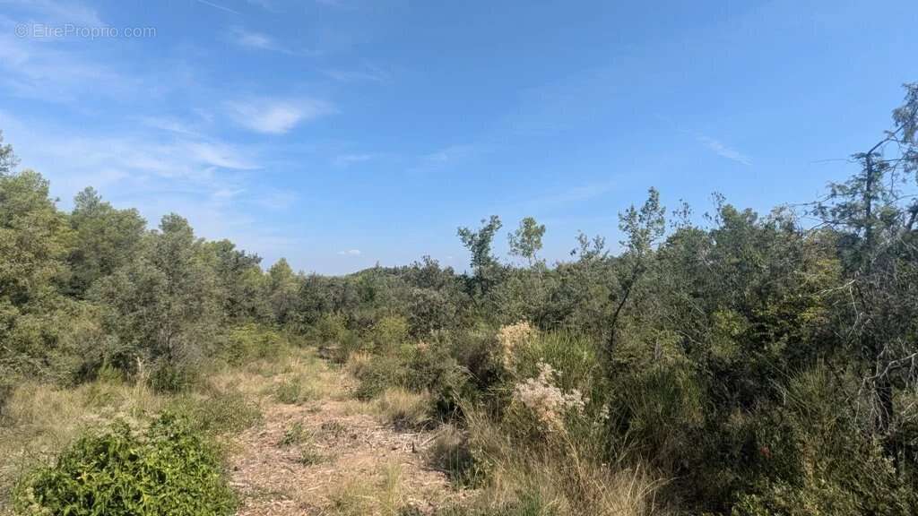 CARCES - Terrain 22.234m² en zone Naturelle - photo 3