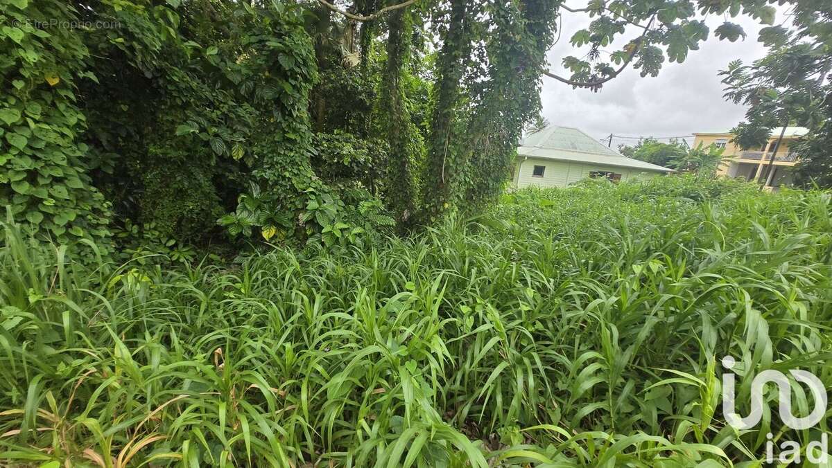 Photo 4 - Terrain à LE LAMENTIN