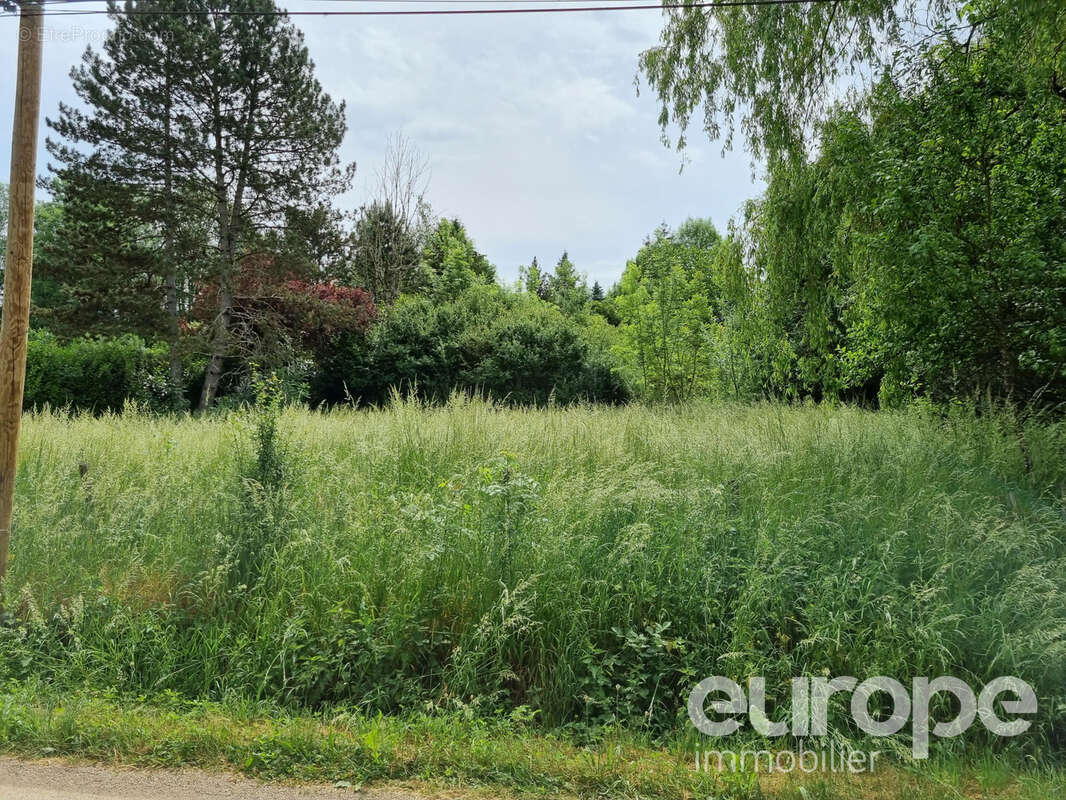 Terrain constructible 804m2 proche Vézelay - photo 2