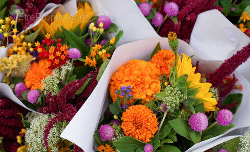 Commerce à POITIERS