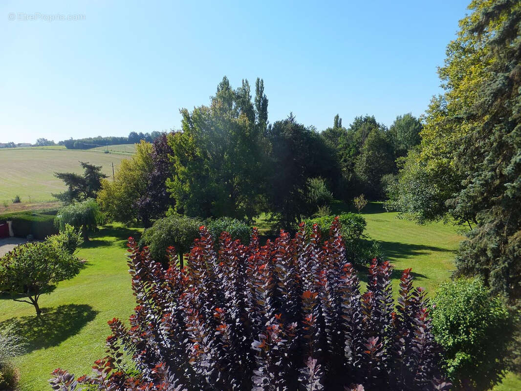 Belle propriété entouré de son parc boisé de 10700m2 - photo 31