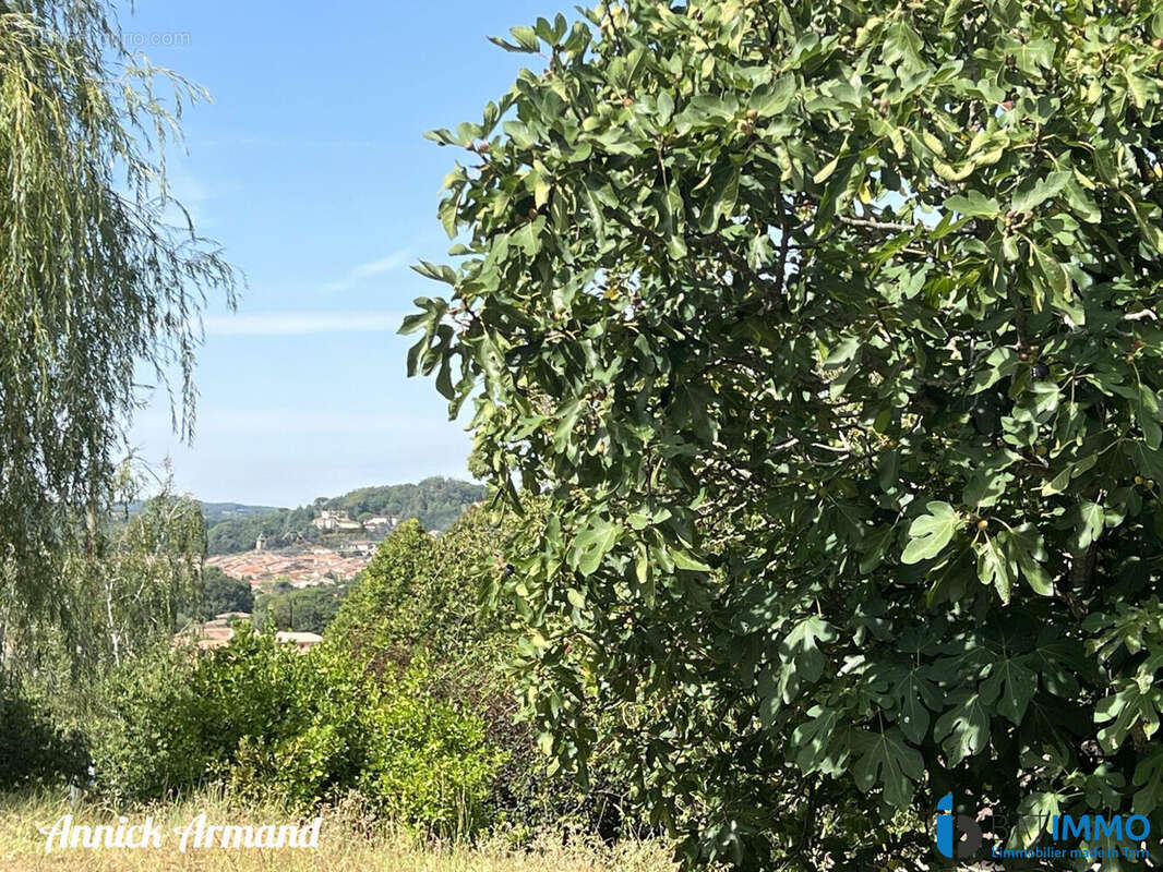 Vue sur le centre du village - Terrain à REALMONT
