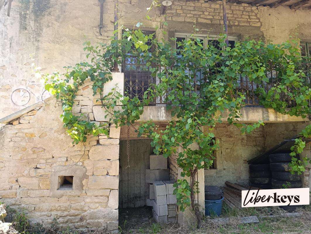 Bord de saône - demeure en pierre - 155 m² habitable - caves - dépendances - 2 puits - 4702 m² zone verte - photo 18