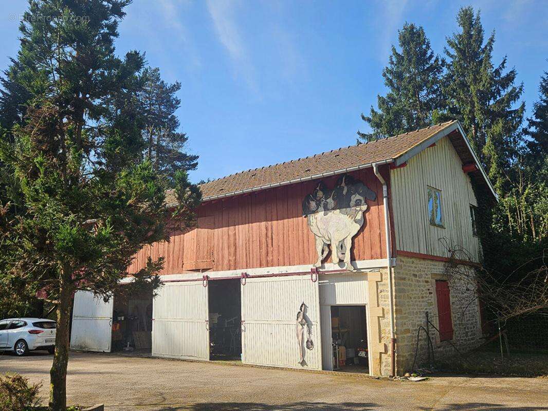 Magnifique propriété arborée au coeur d'Epinal - photo 18