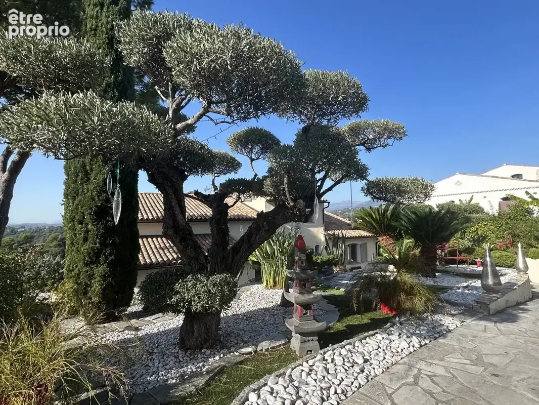 Cagnes sur mer / la gaude - photo 6