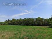 Terrain à SALON-DE-PROVENCE