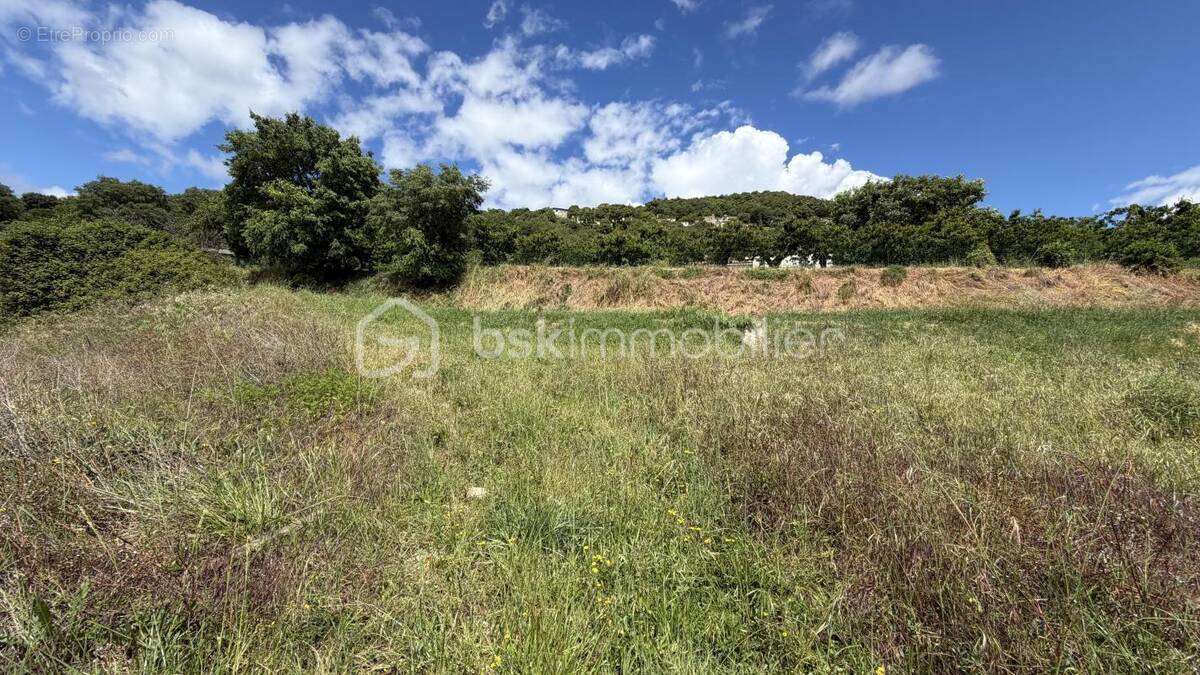 Terrain à SAVASSE