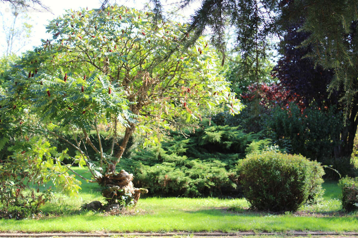 Jardin - Maison à MONTEGUT-ARROS