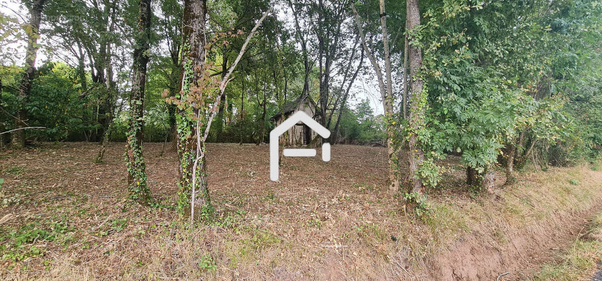 Terrain à VOUTEZAC