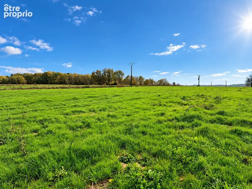 Terrain 1 554 m² à vendre à Merignac (17210) - photo 79