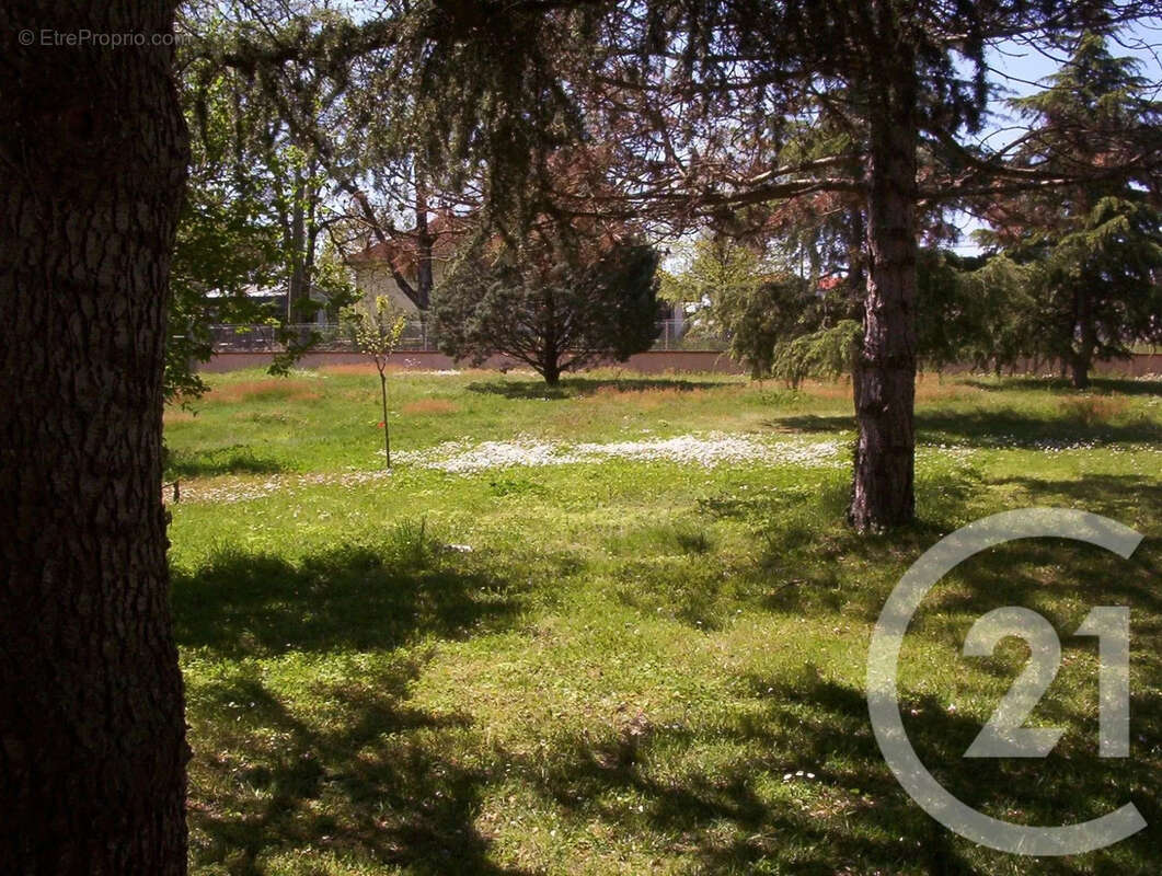 Terrain 760 m² à Montans  - photo 2
