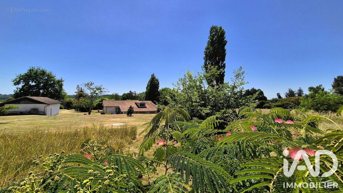 Photo 1 - Maison à SAUVETERRE-DE-GUYENNE