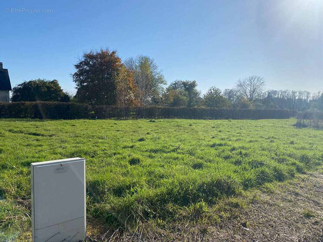 Terrain à ARGENTAN