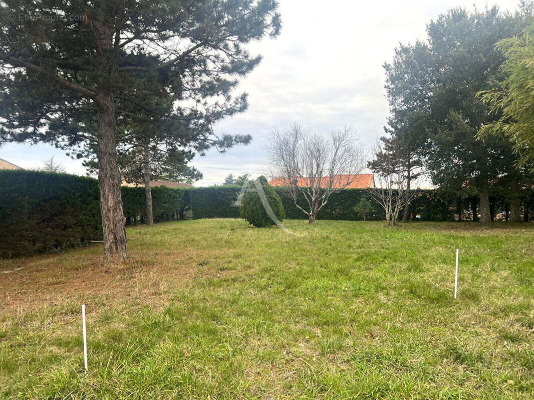 Terrain à SAINT-LOUP-CAMMAS