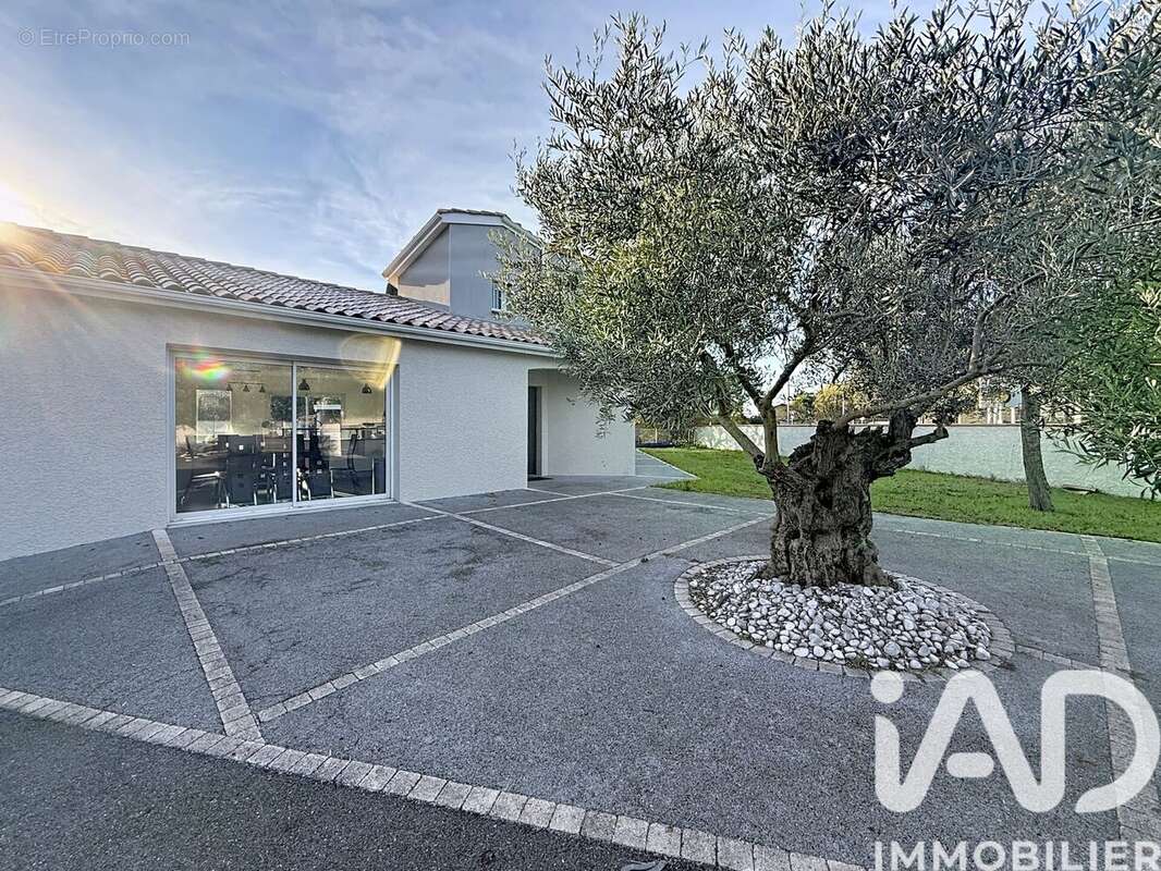 Photo 6 - Maison à COLOMIERS