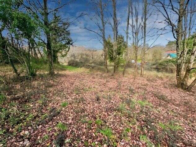 Maison à SAINT-ASTIER