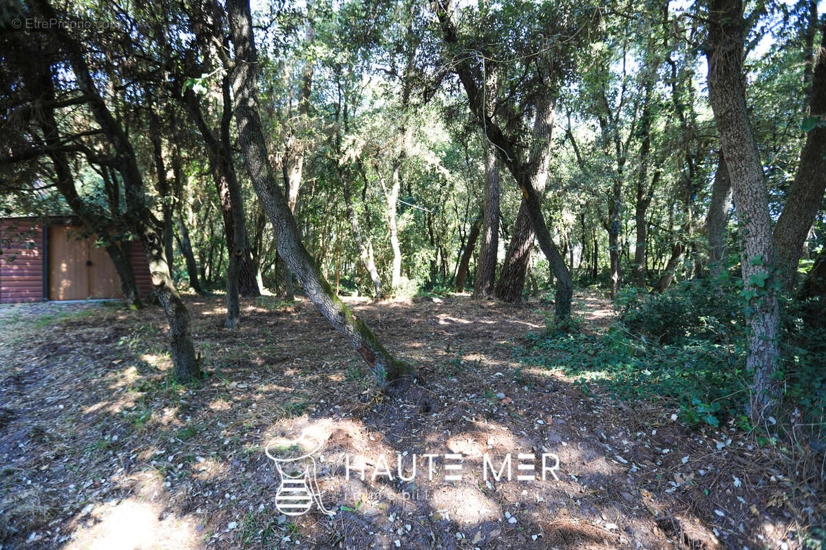 Maison à TALMONT-SAINT-HILAIRE