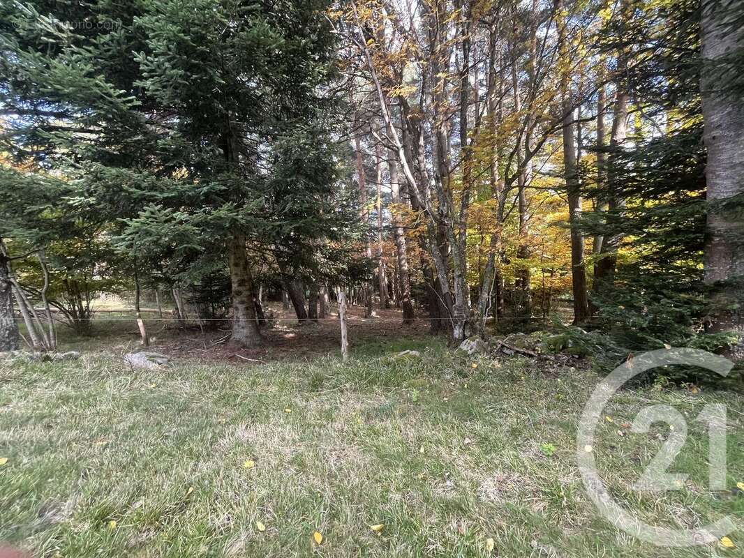 Terrain à BURDIGNES