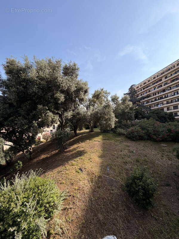 Appartement à SAN-MARTINO-DI-LOTA