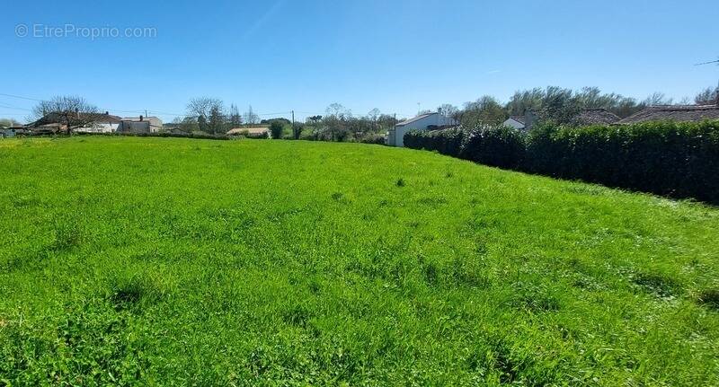 Terrain à SAINT-MICHEL-LE-CLOUCQ