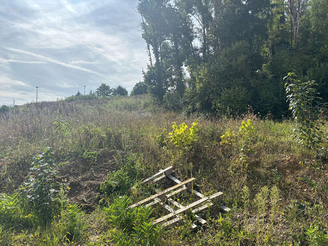 Terrain à NOGENT-LE-ROI