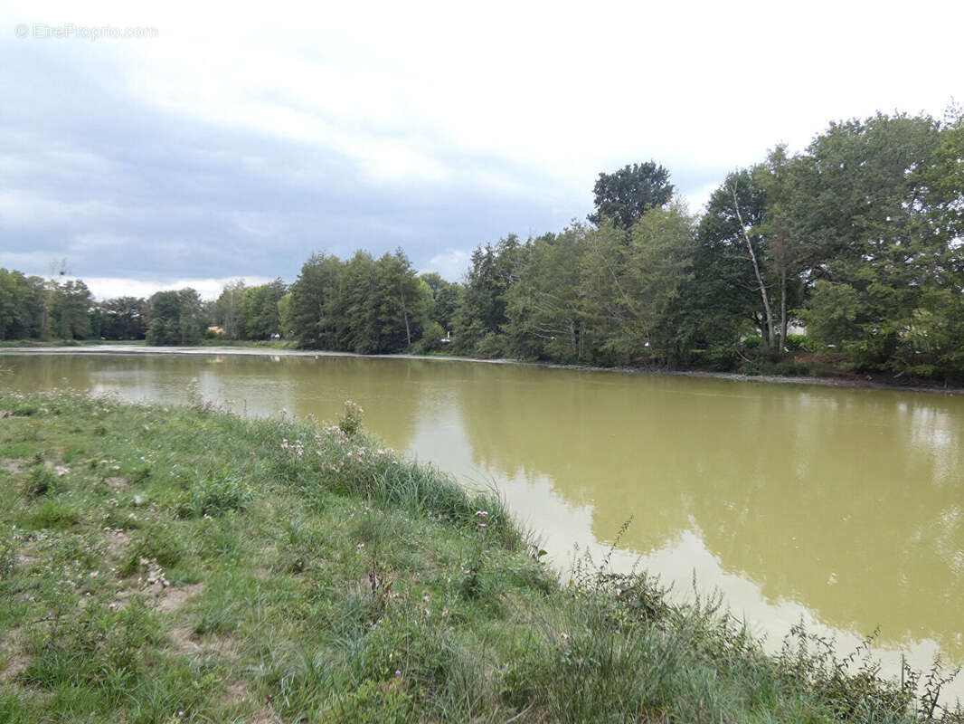 Terrain à SULLY-SUR-LOIRE