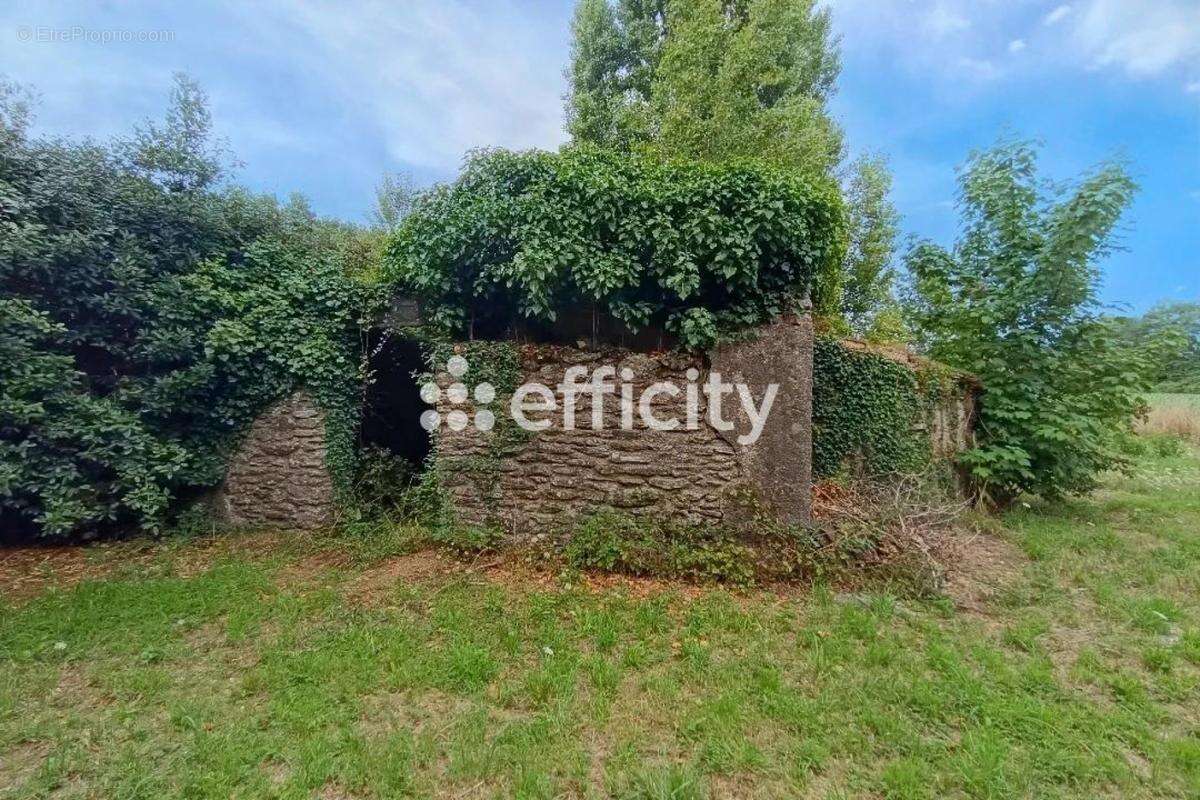 Maison à MAUVES-SUR-LOIRE