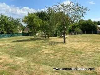 Terrain à YVRE-L&#039;EVEQUE