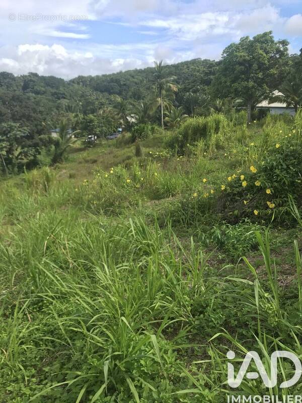 Photo 1 - Terrain à SAINTE-ROSE