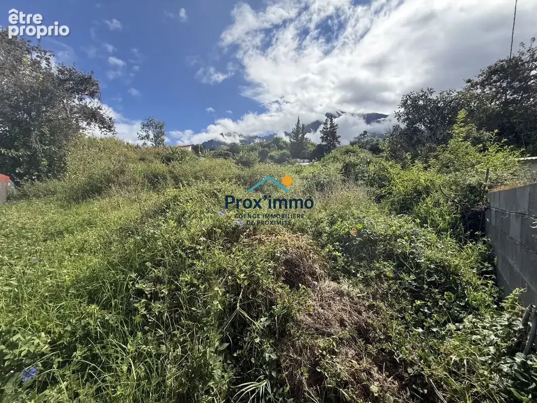 Terrain 1595 m² à Cilaos  - photo 4